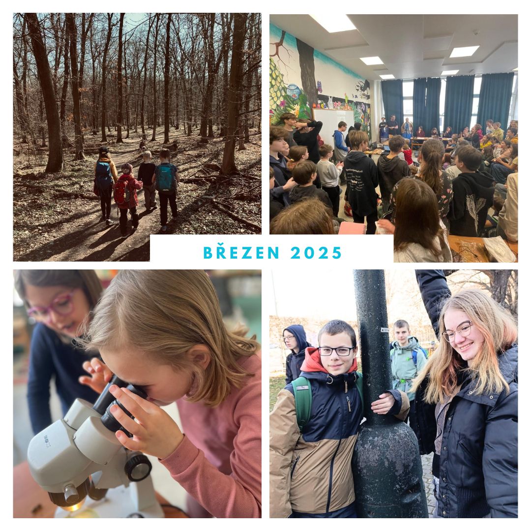 Brown Collage Autumn Mood Instagram Post (2) (1)